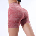 FLW Women High Waist Four-Way Stretch Sport Shorts Workout Clothing Seamless Fitness Gym Running Yoga Shorts