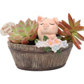 Wholesale Rural Succulent Resin Flowerpot Creative Desktop Gardening Potted Succulent Small Flowerpot Garden Balcony