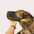 Custom Greyhound Pit Bulls Soft Nylon Dog Muzzle for French Bulldog Rottweiler and Puppy