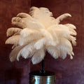 Large White Carnival Festival Ostrich Feather for Wedding Party Decoration