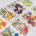 D072 Diy Material Mixed Pack Real Natural Dried Pressed Flowers