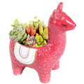 Wholesale Cute Alpaca Ceramic Planter Small Glazed Flower Pot for Indoor and Outdoor Home Garden Decor with Succulent Cactus