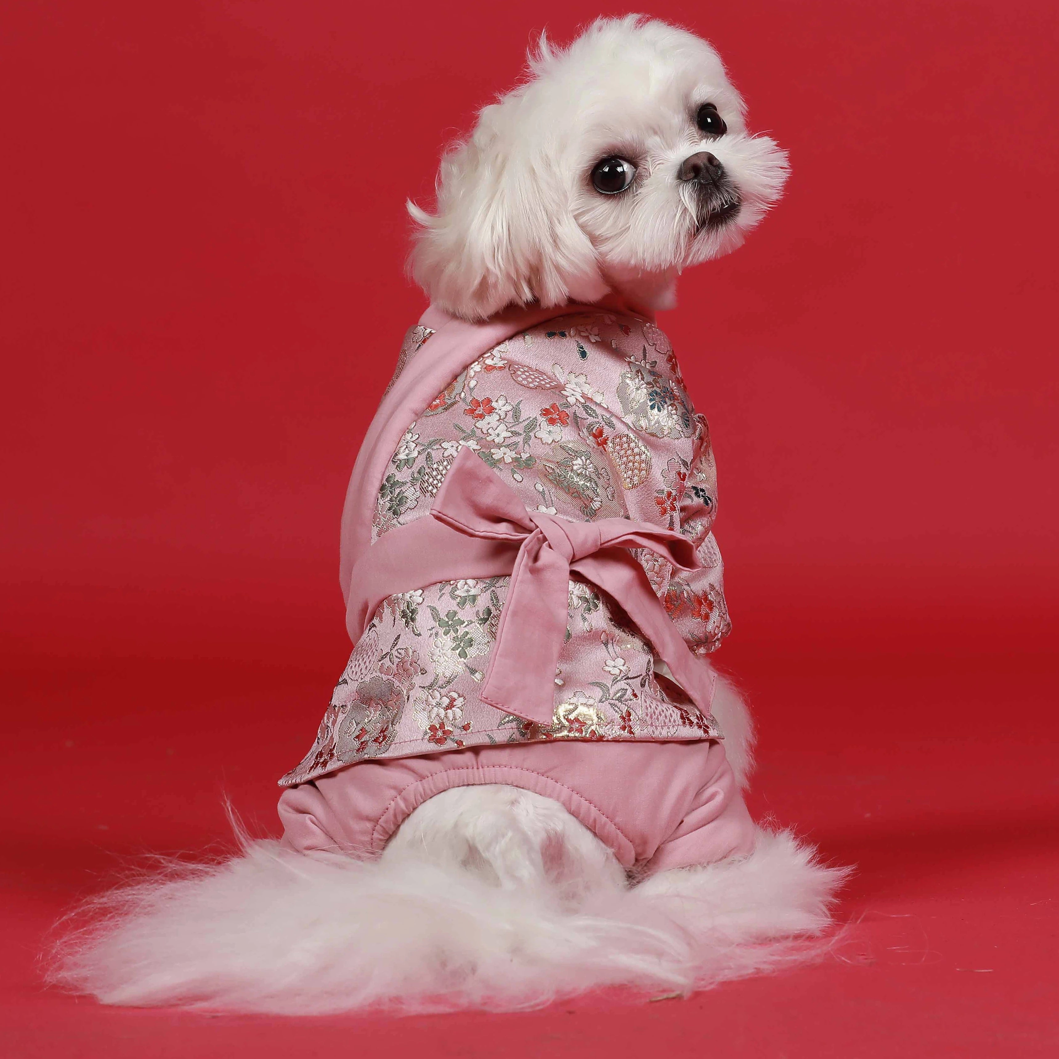 Four Legged Han Costume Small Dog Winter Coat Polyester Print Classic Eco-Friendly