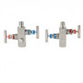 SS316 2 Valve Manifolds Remote Mount Valve Manifolds Two Way Valve Manifolds