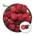 Wholesales Freeze Dry Waxberry Top Grade Freeze Dry Myrica Rubra Sugar-free