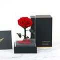 Quality Valentine Gift Set Items Preserved Stabilized Immortal Everlasting Plastic Flower Box Eco-Friendly UV Printed for Gift