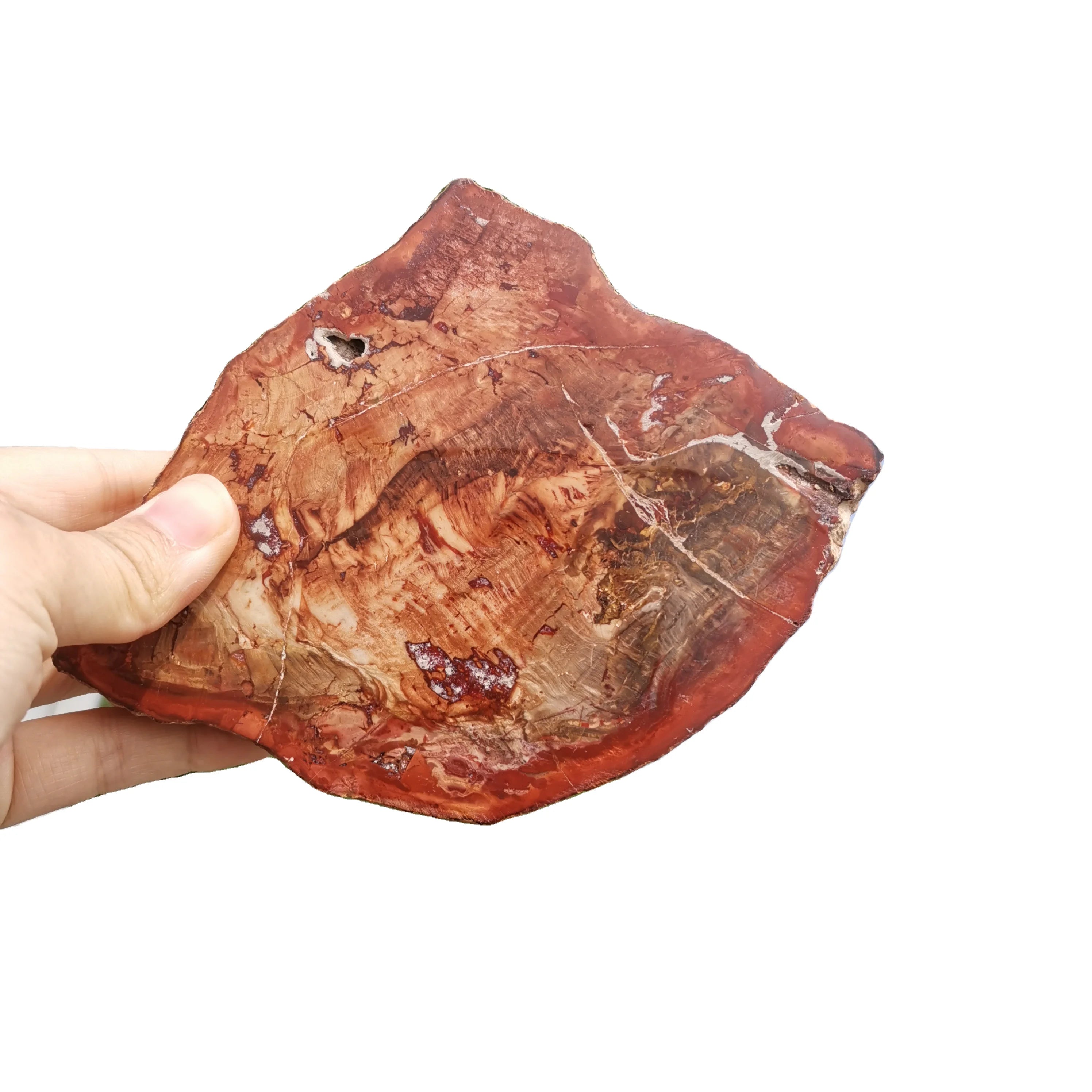Wholesale Natural Petrified Wood Crystal Gifts Souvenir Crystal Crafts Petrified Wood Slab for Home Decoration