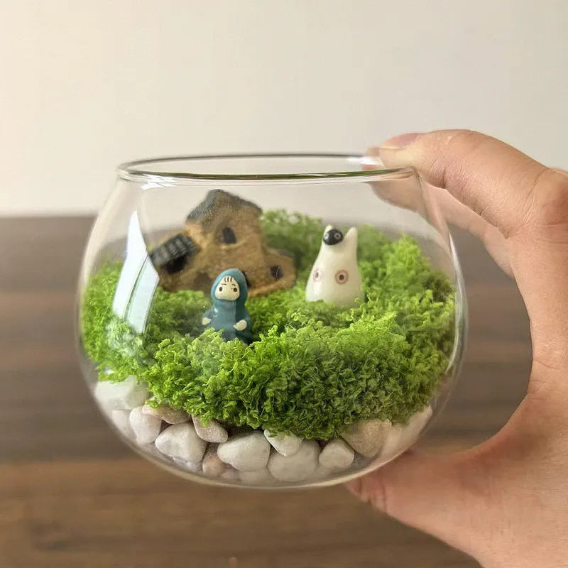 Mini Transparent Glass Terrarium Planter Pot for Hydroponic Succulent Plants Natural Attraction for Home Desk Tabletop Garden