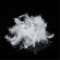 Wholesale Cheap Bulk  1~40ply Black Ostrich Feathers for Clothing Crafts White Ostrich Feather Trim 15-20 cm Tassel Fringe