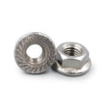 M6 M8 M10 1/4 3/8 5/16 A2-70 Stainless Steel Hexagon Allen Flange Serrated Lock Nuts