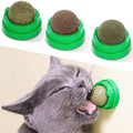 Interactive Smart Catnip Ball Toy Rotatable Plastic Wall Sucker Lick Treat Containing Catnip Sugar Balls Mint Cat Toys for Cats