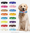Pet Accessories Collar in Stock Wholesale Dog Leash Collar PU Dog Bone Collar