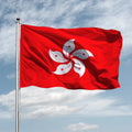 Flagnshow 3x5 ft Flying Polyester 90x150 cm Screen Printing Hong Kong Flag
