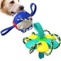 vogue Pet Products Outdoor Training Flying Disc Interactive Football Dog Toy