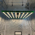Newest P55-800W KingBrite Samsung LM301H With XP-E2 660nm Photo Red Full Spectrum Led Grow Light