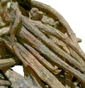 Wholesale Elecampane Radix Dried Inula Helenium Root for Sale