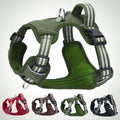 2025 New Arrival Premium Fashion Breathable Mesh Design Eco-Friendly Adjustable Straps Reflective Strips Outdoor Walking Dog