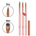 Aoqi OEM Custom Logo Nail Art Liner 3-Piece Kolinsky Hair Nail Brush Set with Plastic Handle and Case AQ--816