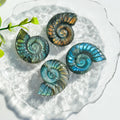 Wholesale Natural Crystal Quartz Labradorite Handcrafted Engraved Whelk Healing Stone for Gifts Model Type