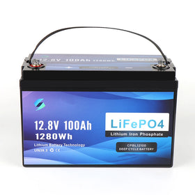 Lithium Ion Battery BMS Management LiFePO4 12V 100Ah for Caravan