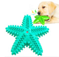 Custom Color Interactive TPR Sounding Tough Chewer Eco-Friendly Starfish Pet Chew Toys Squeaky Dog Toy with Toothbrush