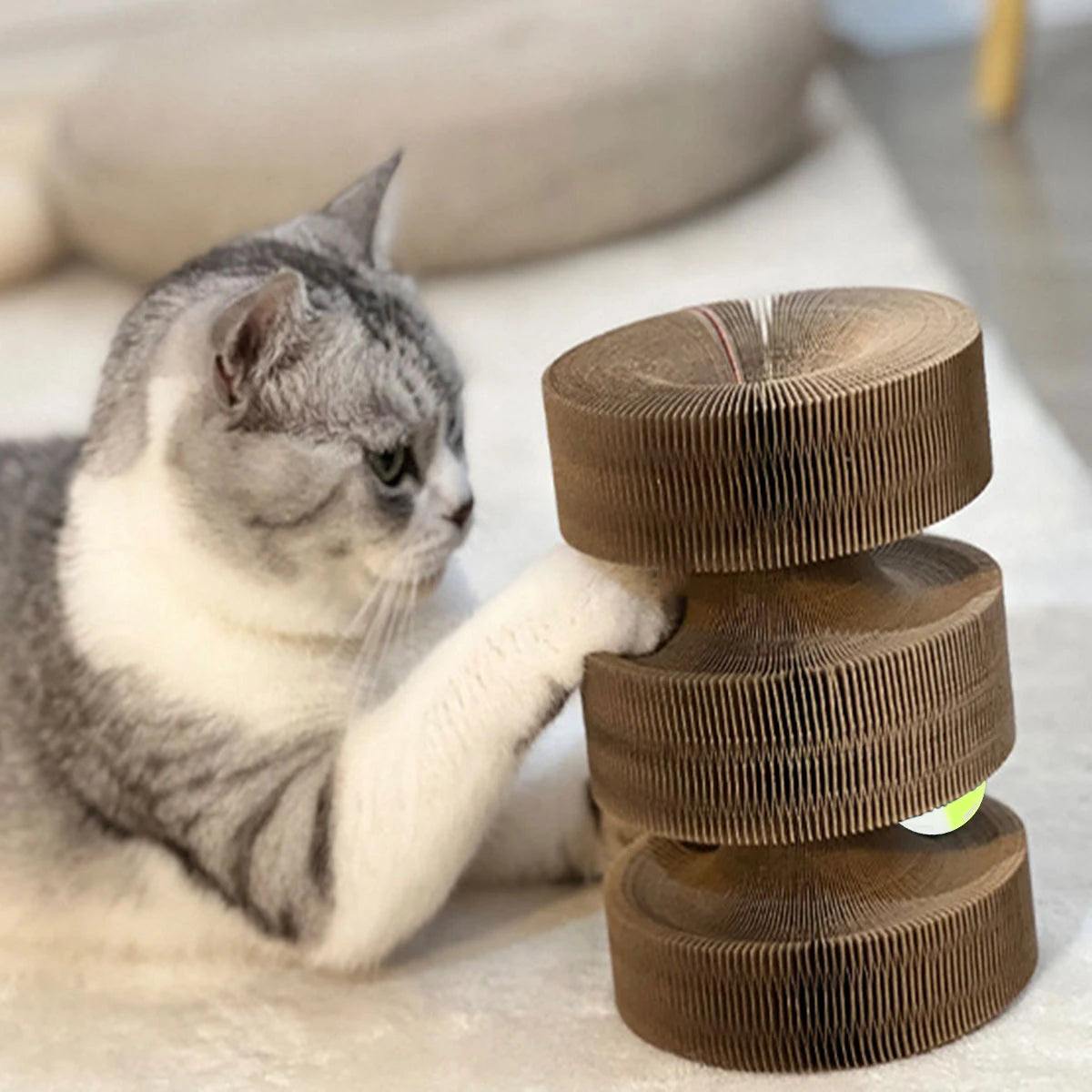 Modern Design Premium Scratch Textures Cat Scratcher Durable Cardboard Cat Scratch Pad Carton Packed