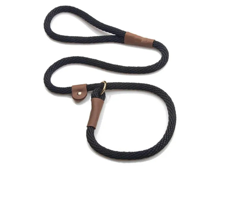 New Hot Selling Colorful P Chain Nylon New Style Leash for Small Medium and Large Dog