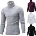 Autumn Winter Men's Korean Style Long Sleeve Slim Pullover Solid Fashion Twist Knitted Sweaters Fashionable Knitwear