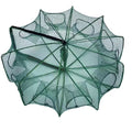 Cone Shaped HDPE Entrances for Lobster for Various Sized Seafood Naturally Closing Traps to Prevent Preys From Escaping