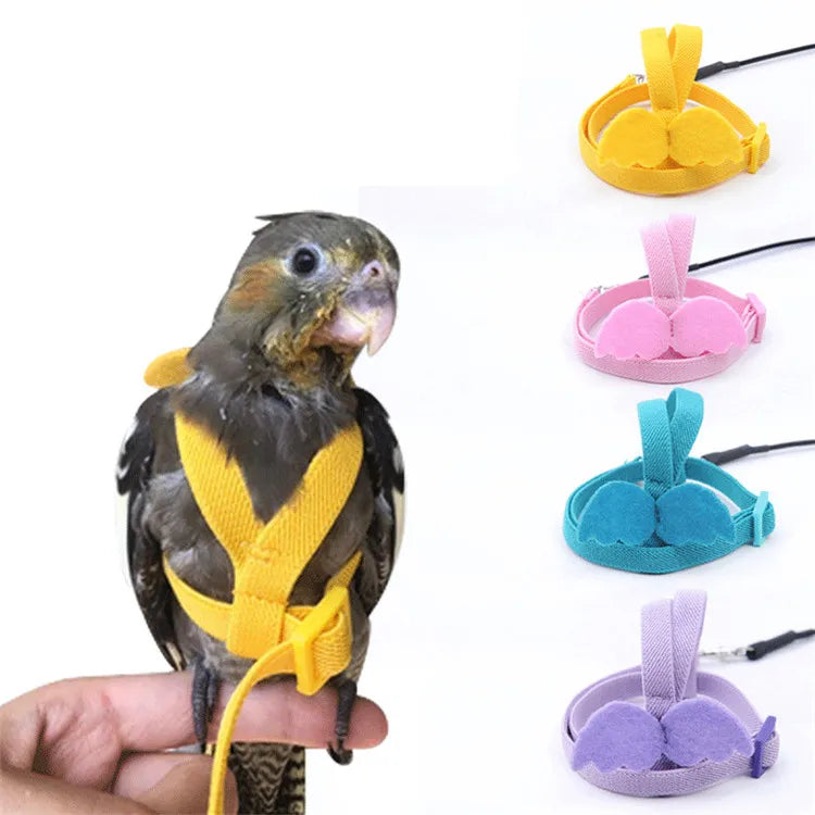 Multicolor Outdoor Training Adjustable Parrot Flying Towing Rope Bird Parrot Harness
