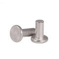 M2-M10 Hot Selling Stainless Steel Zinc Plating Flat Head Solid Rivet