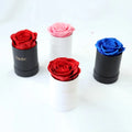 Every Love Valentines Day Gift Single Preserved Eternal Rose Flowers Perfectione Roses Luxury Preserved Roses in a Box