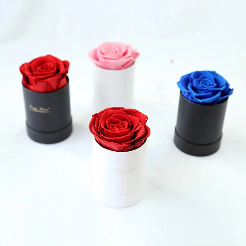 Every Love Valentines Day Gift Single Preserved Eternal Rose Flowers Perfectione Roses Luxury Preserved Roses in a Box
