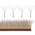 Four Clover Lashes 10-14mm 4d Clover Lashes Shape False Eyelashes Extensions Ready to Ship 2024 Wholesale Handmade Dark Brown Dd
