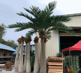 Artificial Coconut Palm Trees Fiberglass Trunk Use for Outdoor Decoration