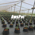 Air Pruning Pot 3 Gallon 5 Gallon White 20L AWSPOT 30x30 Black Plant Growing Container for Olive Trees blueberry flower