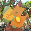 Mango Fruit Protection Bags Grape Protect Growing Paper Bag Factory Agriculture Heat Seal Wax Coated Paper Fruit Cover CMYK