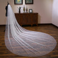 S170A 2025 3M Long White Ivory Lace Wholesale Luxury Design Lace Bride Wedding Veil Bridal Veils Wedding Veils Long