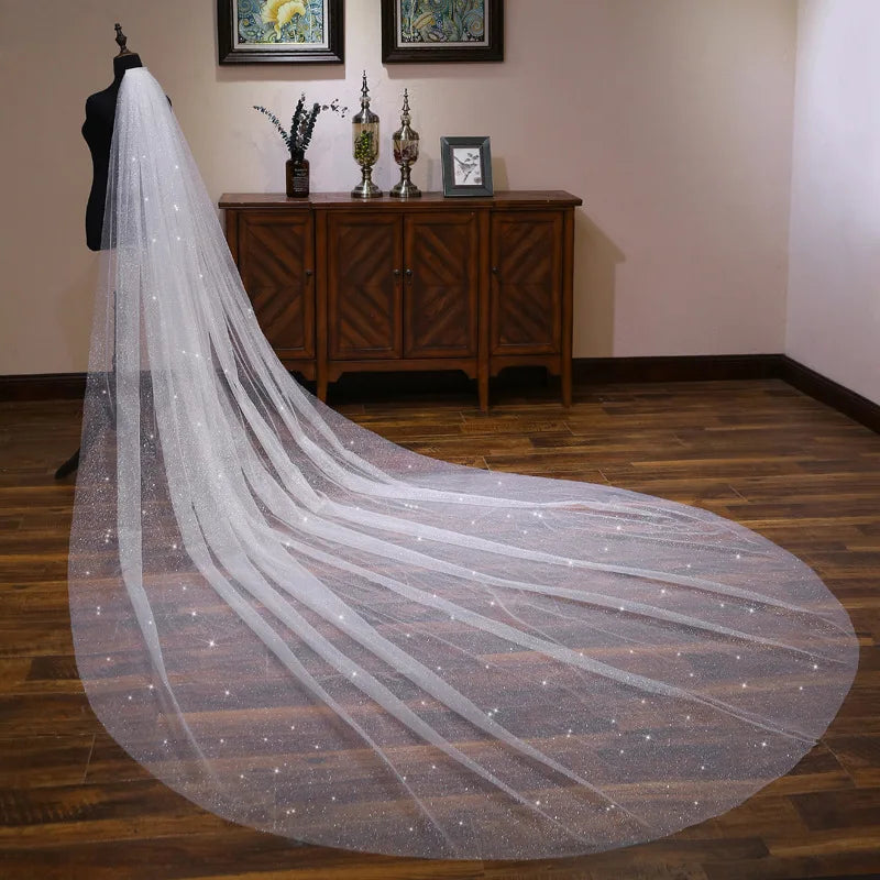 S170A 2025 3M Long White Ivory Lace Wholesale Luxury Design Lace Bride Wedding Veil Bridal Veils Wedding Veils Long