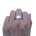 Summer Sea Beach Shell Shape Scallop Rings Minimalist Party Charm Accessories Lover Gift Women's Jewelry