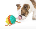 Hot Sale Pet Dog Training Toys Elastic Ball Leak Food Feeder Dog Chew Toys for Aggressive Chewers