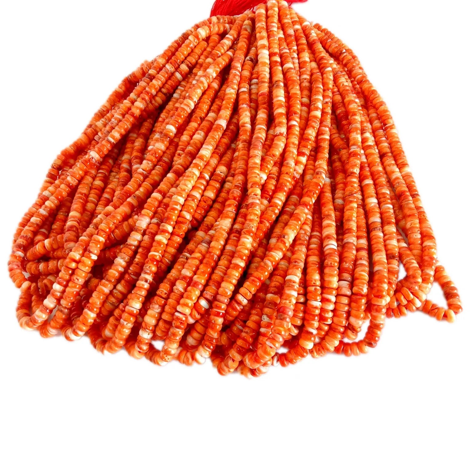 Spiny Oyster  Natural 6mm orange Spiny Oyster Smooth Rondelle