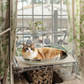 Eco-Friendly Cat Hammock Plastic Sun Hanging Bed Solid Nest Window Sucker Four Seasons Pet Bed