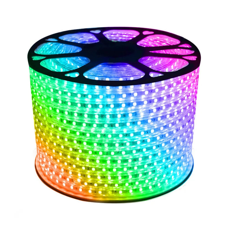 Top Quality Waterproof IP55 Remote Colorful LED Light Strip 5050SMT Light Source RGB LED Strip Light