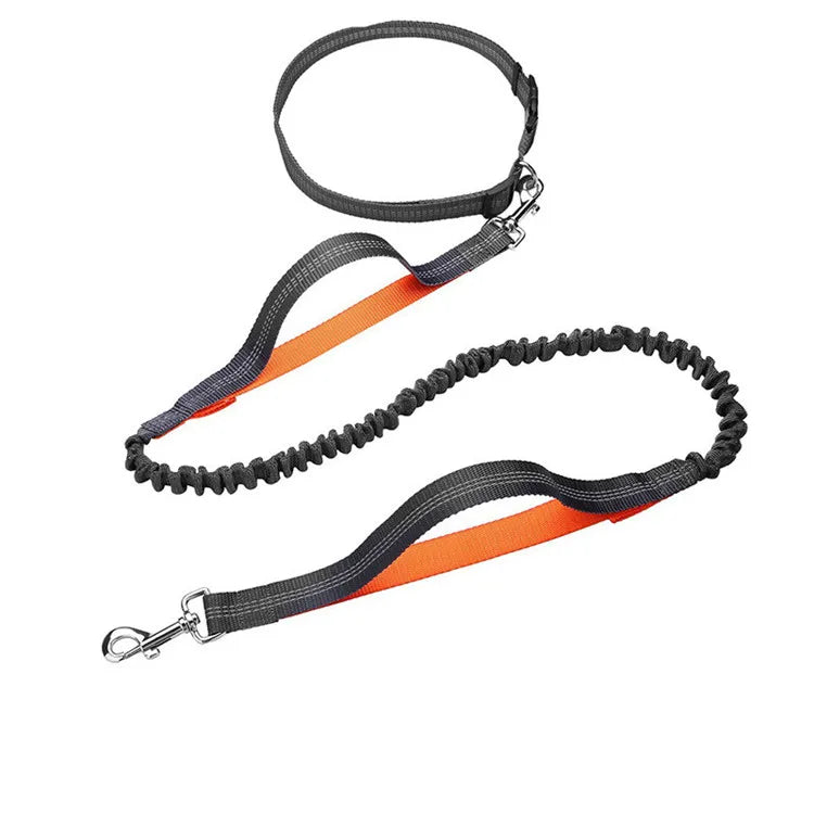 Factory Direct Sales Adjustable Walking Hiking Reflective Hands Free Running Dog Bungee Leash