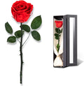 D68 Mothers Day Rose Flower Unique Birthday Gifts for Women Preserved Rose Preserved Flowers Single Rose Real Rose