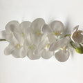 EM03340 3D Print Real Touch Butterfly Orchids Lifelike Fresh 9 Heads Phalaenopsis Artificial Single Orchid Flowers