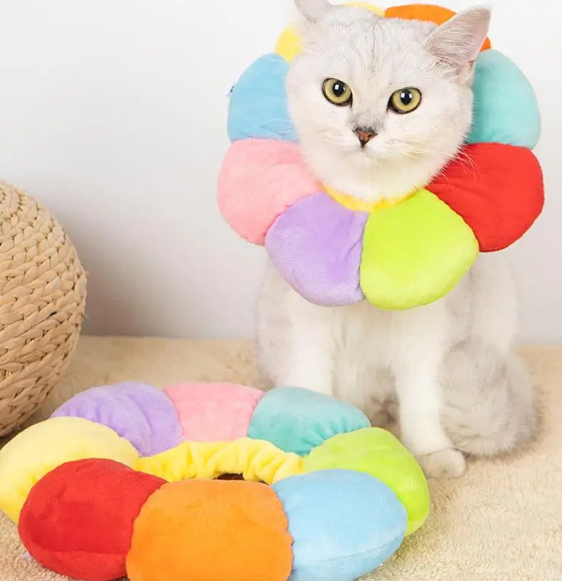 Newly Designed Anti-bite and Anti-lick Accessory Cat Collar for Dogs and Cats