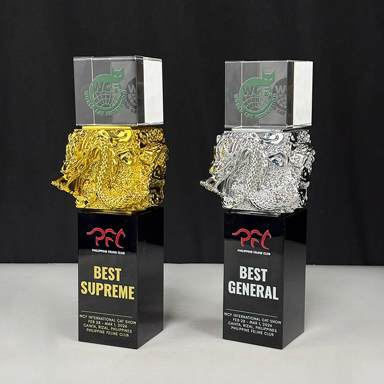 6x6x26cm Gold Silver Resin Dragon Block Crystal Trophy MH-J0842
