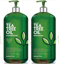 Wholesale Natural Hair Grow Shampoo Hair Loss Organic Ginger Mint Tea Tree Oil Shampoo Hair Growth Oil Shampoo for Men and Women